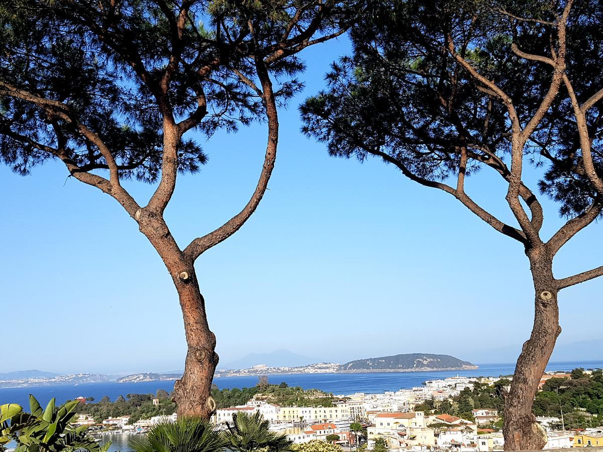 Ischia Dream Visions Exterior foto