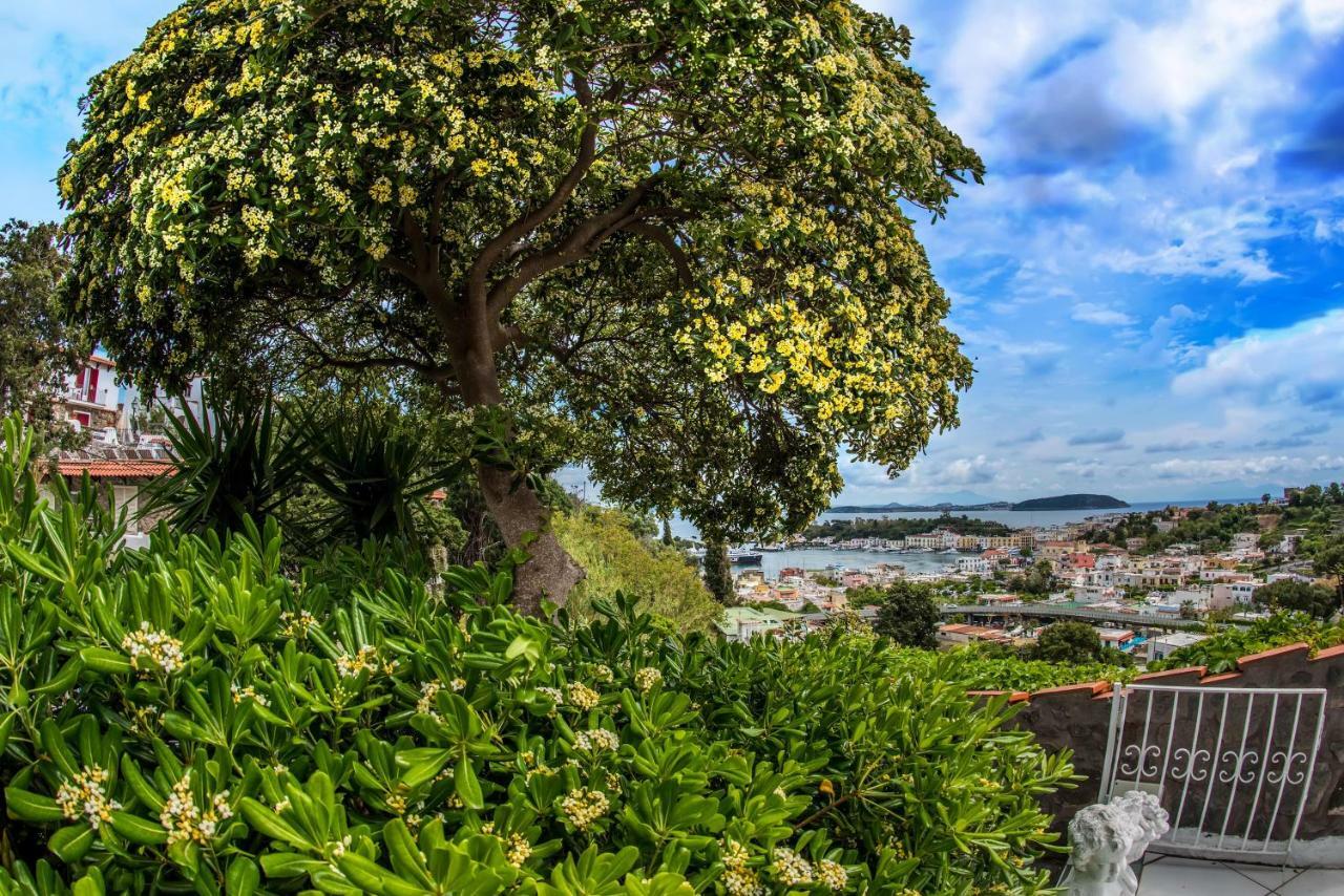 Ischia Dream Visions Exterior foto