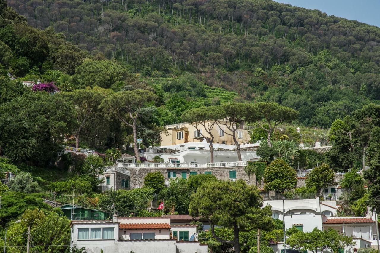 Ischia Dream Visions Exterior foto